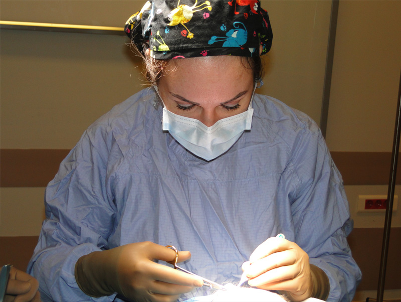 Cigdem Unal Gulmeden, M.D., Prof. Dr.  | Aesthetic, Plastic & Reconstructive Surgery